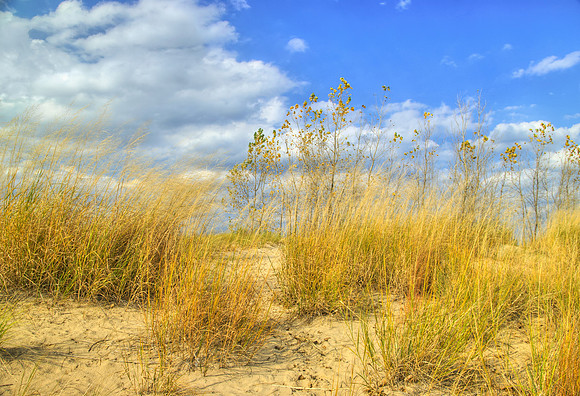Beach and Sky