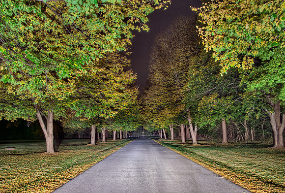 Down a Fall Road