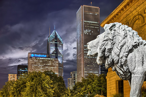 Art Institute Lion Looking Out