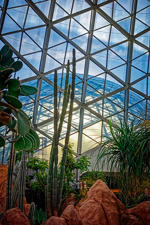 Inside the Mitchell Park Domes
