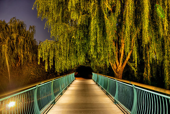Weeping Willow over a Footbridge at Night (Chicago Botanic Garden)