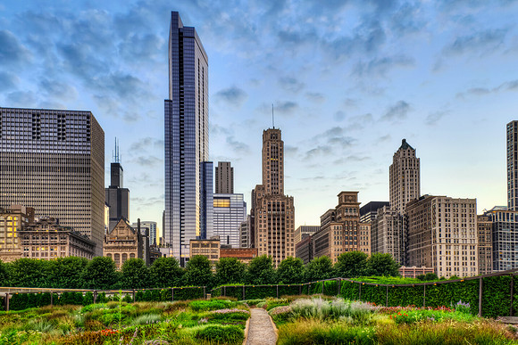 Millennium Park Garden with Skyline in Daylight