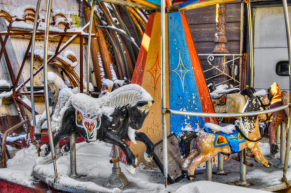 Cold Horses