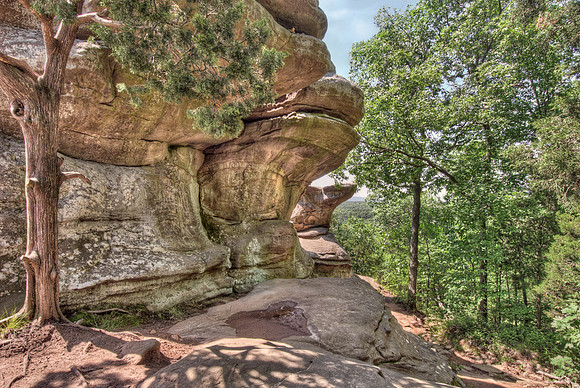 Rock Formations inside "Garden of the Gods" - Shawnee National Forest