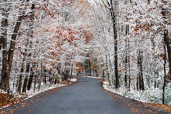 Wisconsin Winter Road